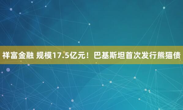 祥富金融 规模17.5亿元！巴基斯坦首次发行熊猫债